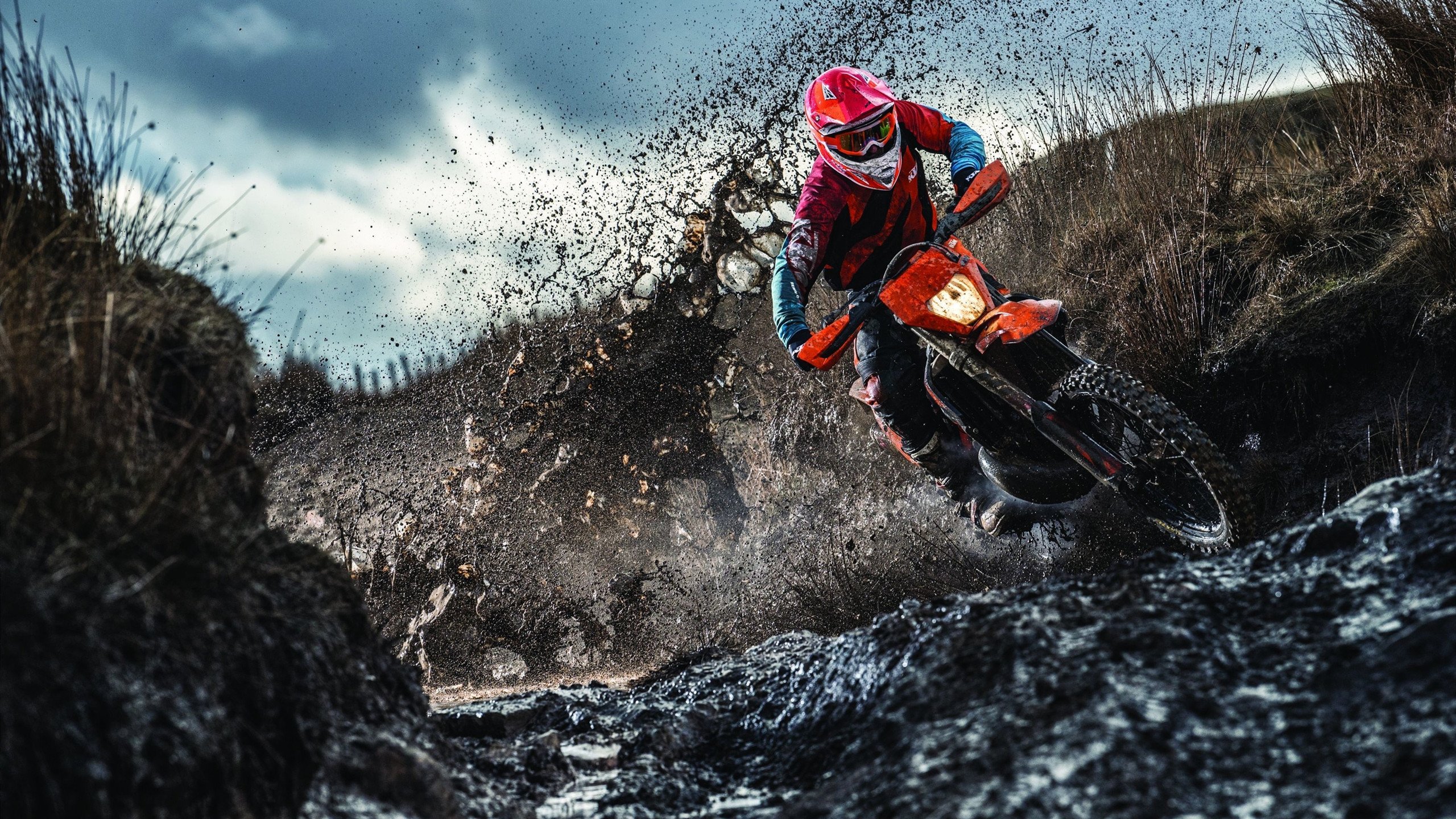 NBA全明星赛阵容公布